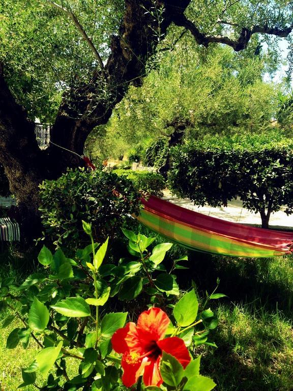 Lofos Strani Hotel Kota Zakynthos Bagian luar foto